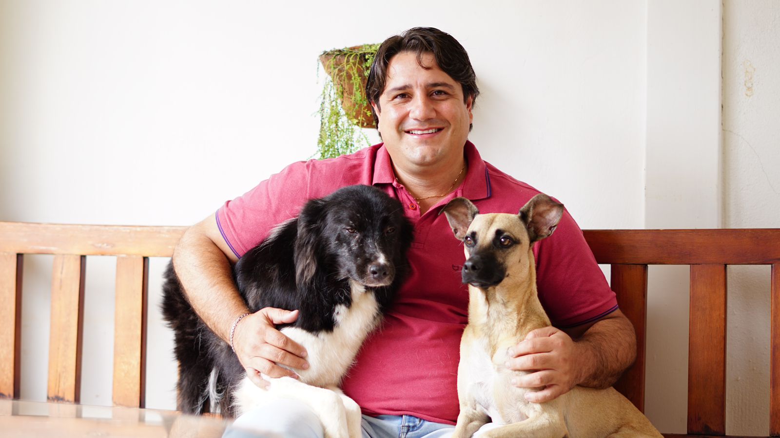 Parceria entre Eduardo Fortes, Governo do Estado e Prefeitura de Gurupi vai garantir castração gratuita de mais de 400 pets