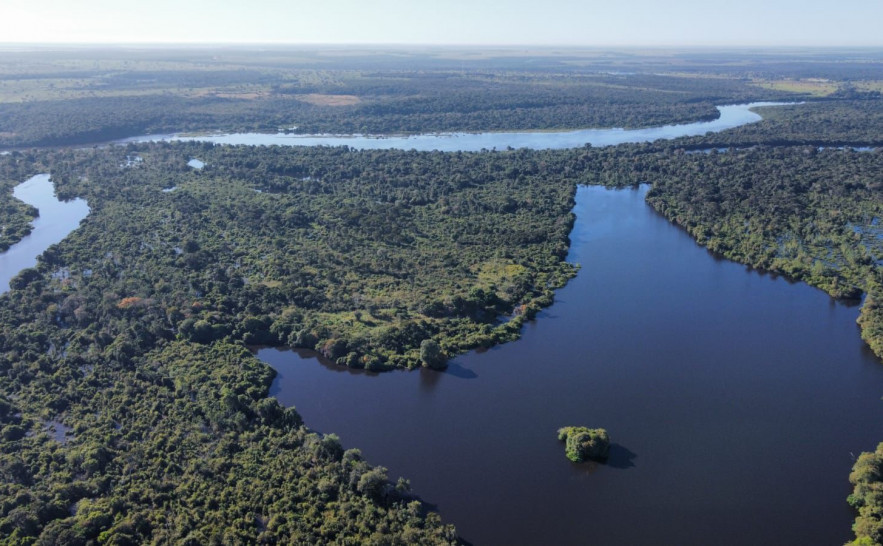 Governo do Tocantins reforça vigilância contra influenza aviária em aves migratórias no Cantão